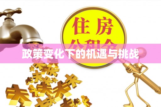 集安政策变化下的机遇与挑战