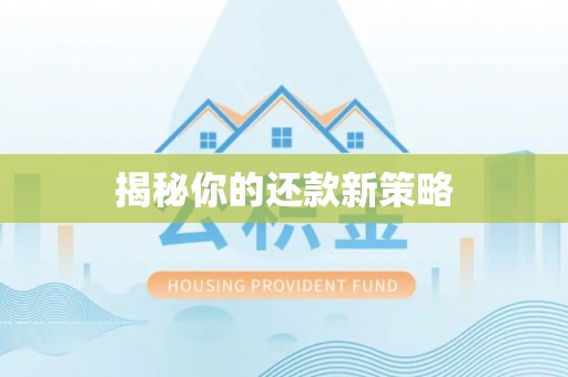 集安揭秘你的还款新策略
