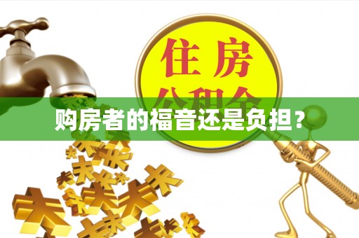 集安购房者的福音还是负担？