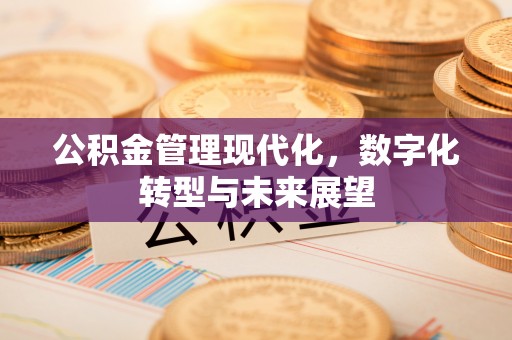 集安公积金管理现代化，数字化转型与未来展望