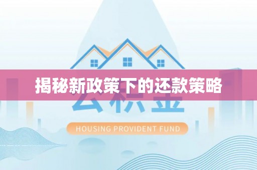 集安揭秘新政策下的还款策略