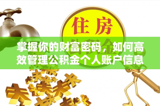 集安掌握你的财富密码，如何高效管理公积金个人账户信息