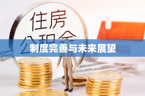集安制度完善与未来展望