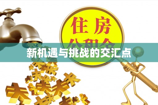集安新机遇与挑战的交汇点