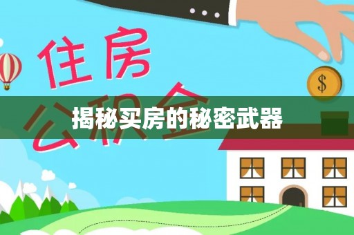 集安揭秘买房的秘密武器