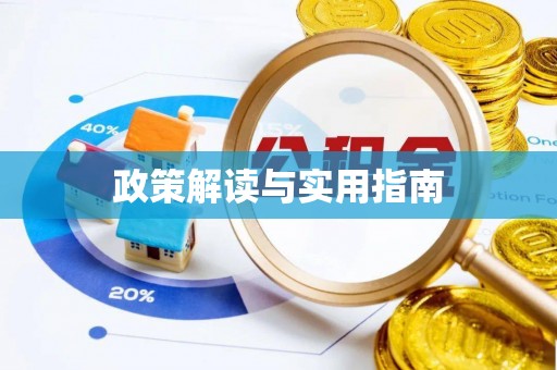 集安政策解读与实用指南