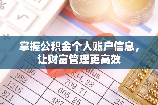 集安掌握公积金个人账户信息，让财富管理更高效