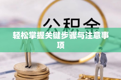 集安轻松掌握关键步骤与注意事项
