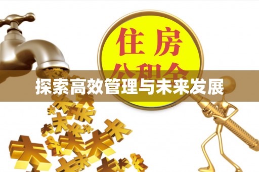 集安探索高效管理与未来发展