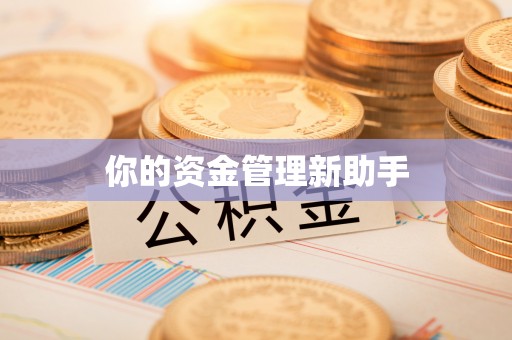 集安你的资金管理新助手