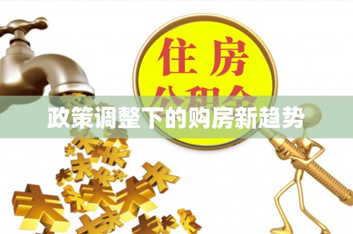 集安政策调整下的购房新趋势