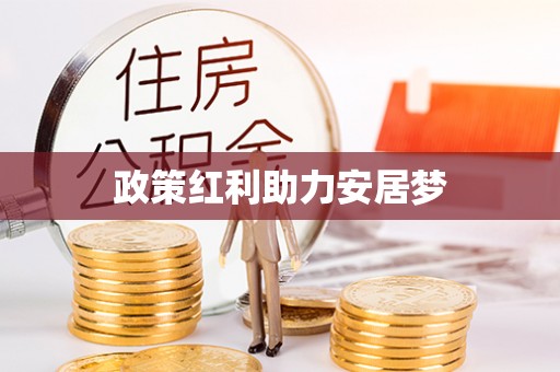 集安政策红利助力安居梦