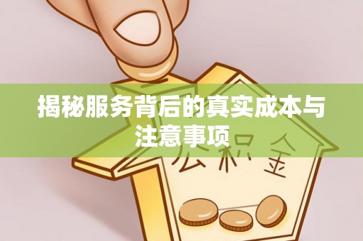 集安揭秘服务背后的真实成本与注意事项