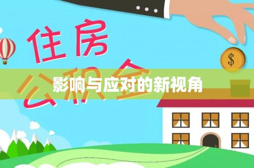 集安影响与应对的新视角