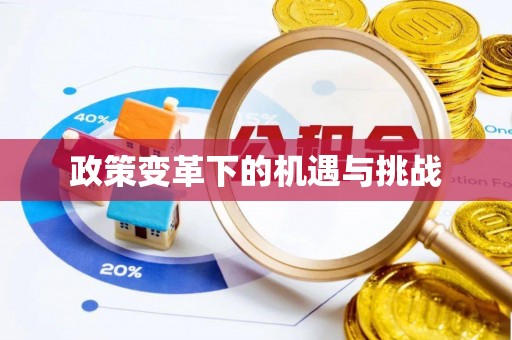 集安政策变革下的机遇与挑战