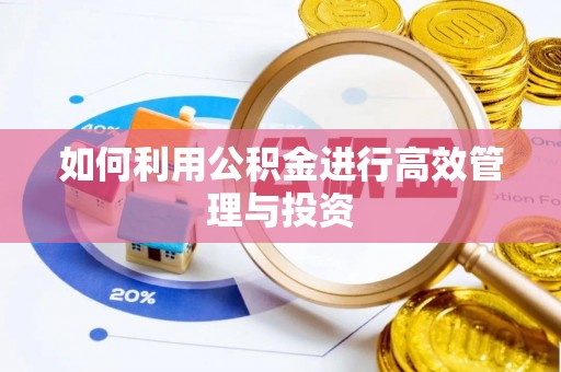 集安如何利用公积金进行高效管理与投资