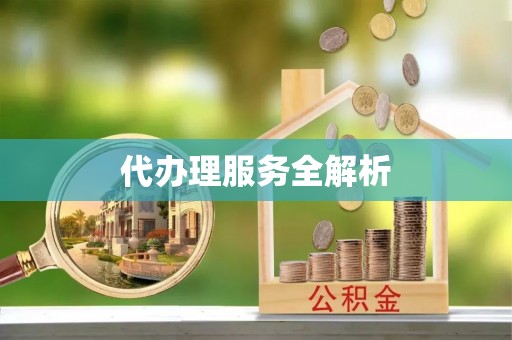 集安代办理服务全解析