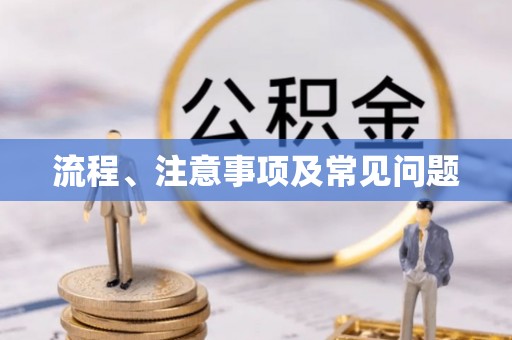 集安流程、注意事项及常见问题