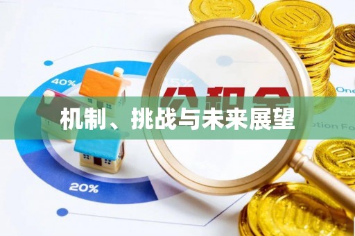 集安机制、挑战与未来展望