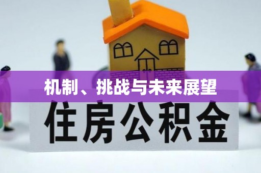 集安机制、挑战与未来展望